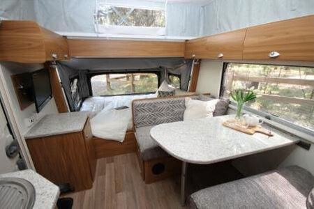 Savannah Maxxi 501-1 - New Zealand Avan
